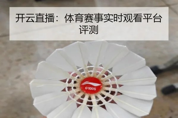 开云直播：体育赛事实时观看平台评测
